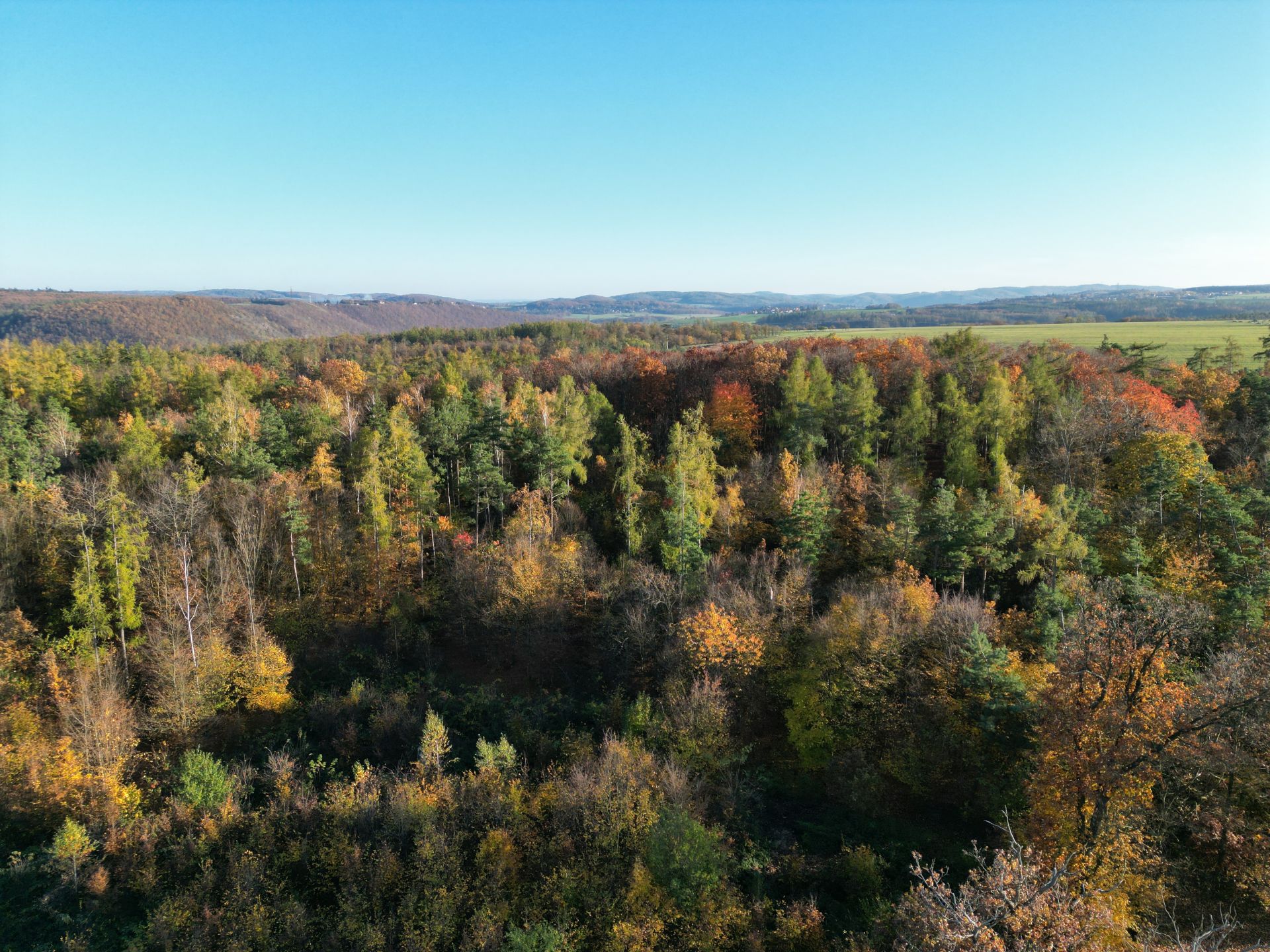 Prodej lesního pozemku, Trnová u Jíloviště (457.172 m²)